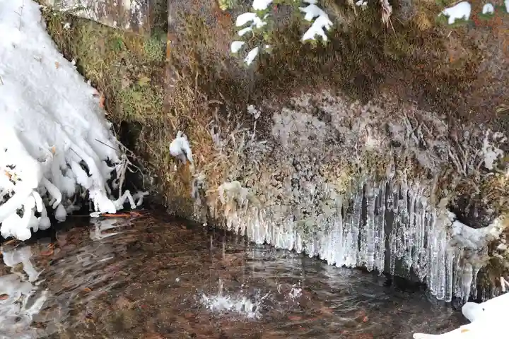土津神社|こどもと出世の神さまの自然