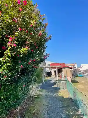 三峯神社(群馬県)