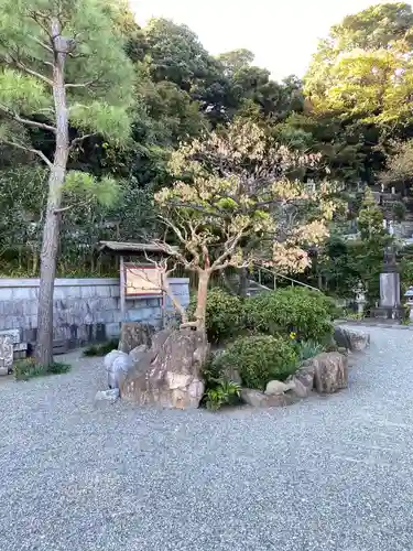 弘誓院の庭園