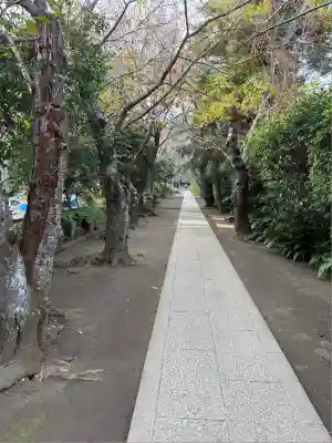 極楽寺（霊鷲山感應院極楽律寺）の景色