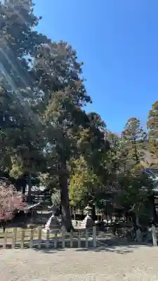 大嶋神社奥津嶋神社の{uncategorized: "未分類", other: "その他", undefined: "問題あり", building: "その他建物", grave: "お墓", sacred_gate: "鳥居", guardian: "狛犬", statue: "像", buddha: "仏像", history: "歴史", nature: "自然", garden: "庭園", animal: "動物", pagoda: "塔", temizu: "手水舎", mountain_gate: "山門・神門", sanctuary: "本殿・本堂", subordinate: "末社・摂社", art: "芸術", scenery: "景色", jizo: "地蔵", ema: "絵馬", goshuin: "御朱印", omikuji: "おみくじ", items: "授与品その他", amulet: "お守り", goshuincho: "御朱印帳", eats: "食事", festival: "お祭り", votive_dance: "神楽", shichigosan: "七五三参", wedding: "結婚式", experience: "体験その他", initially: "初詣", around: "周辺", anti_infection: "感染症対策"}