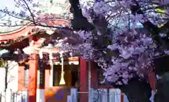 洲崎神社の自然