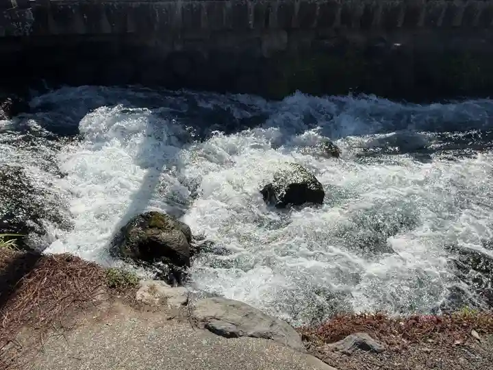富士山本宮浅間大社(静岡県)