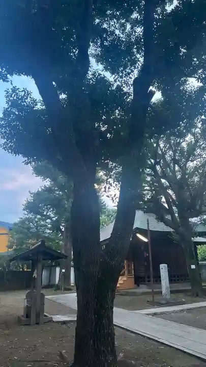竹下稲荷神社(東京都)