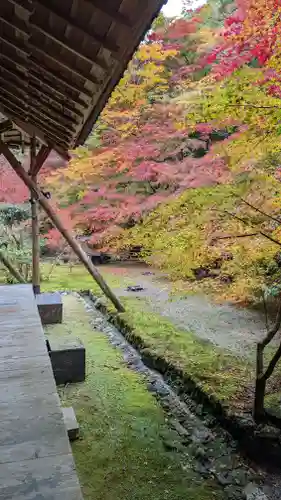 実相院門跡(京都府)