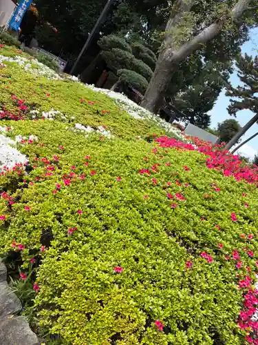 中野沼袋氷川神社(東京都)