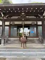 浄流寺の{uncategorized: "未分類", other: "その他", undefined: "問題あり", building: "その他建物", grave: "お墓", sacred_gate: "鳥居", guardian: "狛犬", statue: "像", buddha: "仏像", history: "歴史", nature: "自然", garden: "庭園", animal: "動物", pagoda: "塔", temizu: "手水舎", mountain_gate: "山門・神門", sanctuary: "本殿・本堂", subordinate: "末社・摂社", art: "芸術", scenery: "景色", jizo: "地蔵", ema: "絵馬", goshuin: "御朱印", omikuji: "おみくじ", items: "授与品その他", amulet: "お守り", goshuincho: "御朱印帳", eats: "食事", festival: "お祭り", votive_dance: "神楽", shichigosan: "七五三参", wedding: "結婚式", experience: "体験その他", initially: "初詣", around: "周辺", anti_infection: "感染症対策"}