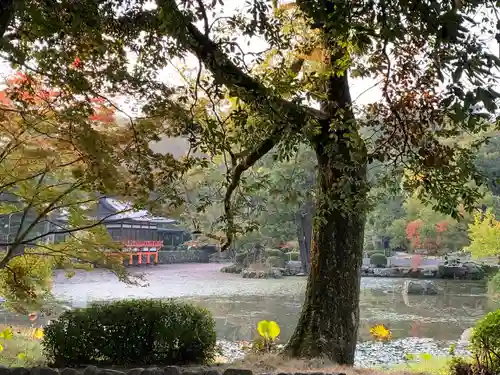 宇佐神宮の庭園