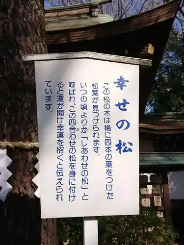 前鳥神社の歴史