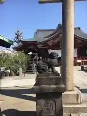 素盞雄神社の狛犬