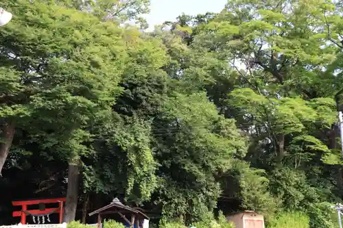 日吉神社の景色