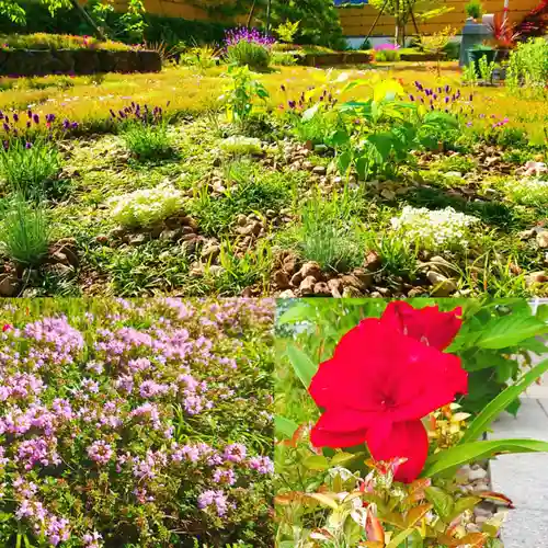 寿量山　速成寺の自然