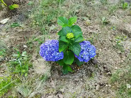 熊野福藏神社(福島県)