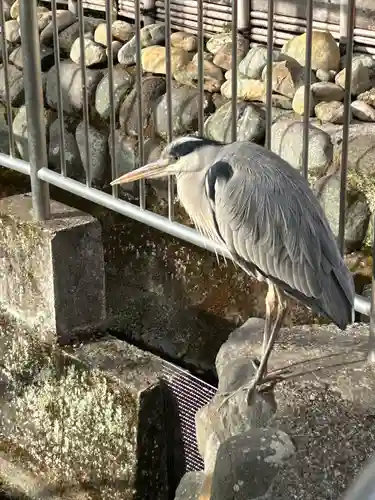 鈴鹿明神社(神奈川県)
