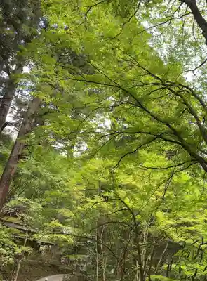 花園神社(茨城県)
