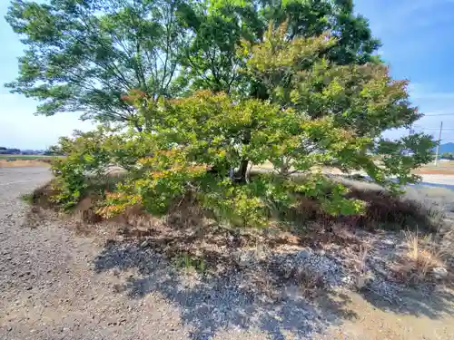 崇聖寺(栃木県)