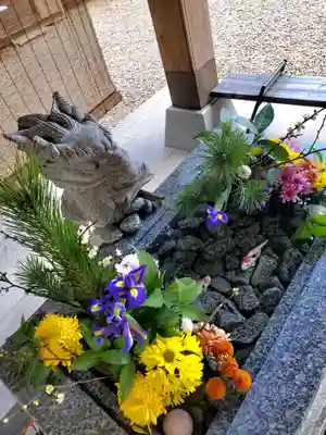 滑川神社 - 仕事と子どもの守り神の手水舎