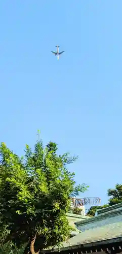 白金氷川神社の景色