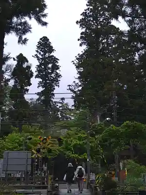 円覚寺(神奈川県)