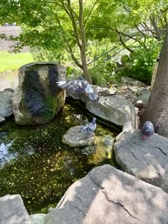 四柱神社(長野県)