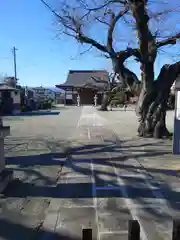 専念寺の建物その他