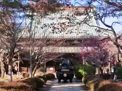 豪徳寺の本殿