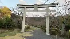 隠岐神社の鳥居