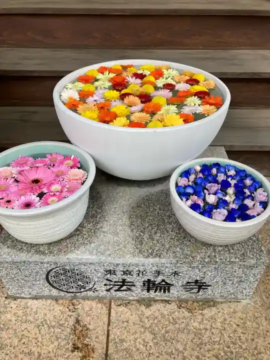 法輪寺の{uncategorized: "未分類", other: "その他", undefined: "問題あり", building: "その他建物", grave: "お墓", sacred_gate: "鳥居", guardian: "狛犬", statue: "像", buddha: "仏像", history: "歴史", nature: "自然", garden: "庭園", animal: "動物", pagoda: "塔", temizu: "手水舎", mountain_gate: "山門・神門", sanctuary: "本殿・本堂", subordinate: "末社・摂社", art: "芸術", scenery: "景色", jizo: "地蔵", ema: "絵馬", goshuin: "御朱印", omikuji: "おみくじ", items: "授与品その他", amulet: "お守り", goshuincho: "御朱印帳", eats: "食事", festival: "お祭り", votive_dance: "神楽", shichigosan: "七五三参", wedding: "結婚式", experience: "体験その他", initially: "初詣", around: "周辺", anti_infection: "感染症対策"}