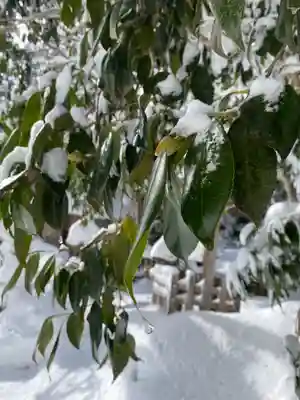 磐椅神社(福島県)