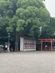 津島神社の建物その他