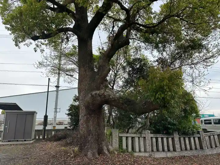 雨降神社の{uncategorized: "未分類", other: "その他", undefined: "問題あり", building: "その他建物", grave: "お墓", sacred_gate: "鳥居", guardian: "狛犬", statue: "像", buddha: "仏像", history: "歴史", nature: "自然", garden: "庭園", animal: "動物", pagoda: "塔", temizu: "手水舎", mountain_gate: "山門・神門", sanctuary: "本殿・本堂", subordinate: "末社・摂社", art: "芸術", scenery: "景色", jizo: "地蔵", ema: "絵馬", goshuin: "御朱印", omikuji: "おみくじ", items: "授与品その他", amulet: "お守り", goshuincho: "御朱印帳", eats: "食事", festival: "お祭り", votive_dance: "神楽", shichigosan: "七五三参", wedding: "結婚式", experience: "体験その他", initially: "初詣", around: "周辺", anti_infection: "感染症対策"}