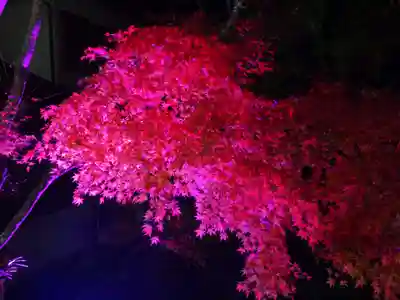 大山阿夫利神社の景色