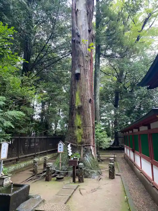 一言主神社の自然