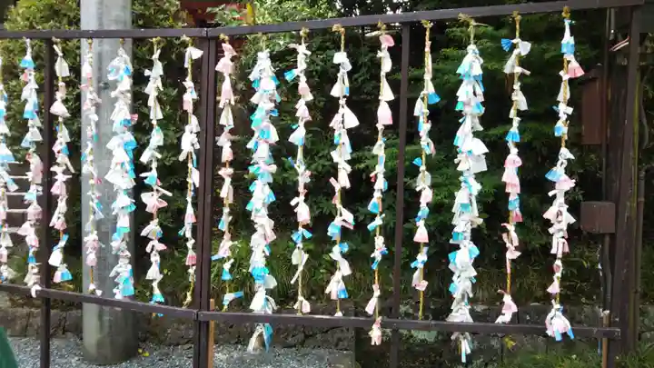 富士山本宮浅間大社のおみくじ