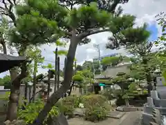 大光寺(大阪府)