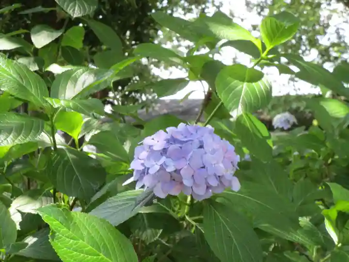 御裳神社(愛知県)