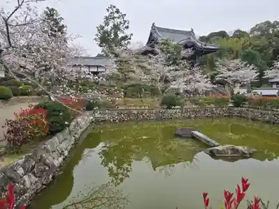 粉河寺(和歌山県)
