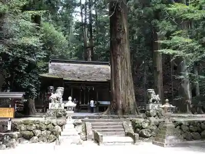 室生龍穴神社のその他建物
