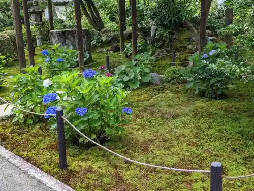 一條殿 新善光寺(京都府)