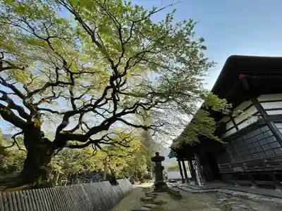 西善寺のその他建物