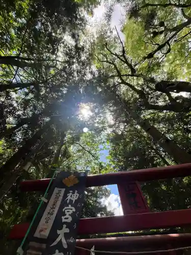 新屋山神社(山梨県)
