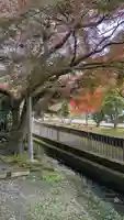 栖賢寺(京都府)