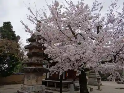 新薬師寺(奈良県)