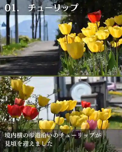 宝光寺(北海道)