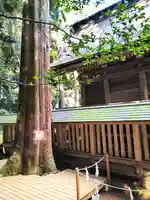 奥宮(鹿島神宮摂社)(茨城県)