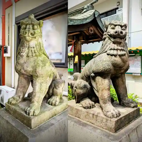 吉原神社の狛犬