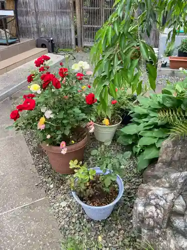 長勝寺(東京都)
