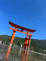 厳島神社の{uncategorized: "未分類", other: "その他", undefined: "問題あり", building: "その他建物", grave: "お墓", sacred_gate: "鳥居", guardian: "狛犬", statue: "像", buddha: "仏像", history: "歴史", nature: "自然", garden: "庭園", animal: "動物", pagoda: "塔", temizu: "手水舎", mountain_gate: "山門・神門", sanctuary: "本殿・本堂", subordinate: "末社・摂社", art: "芸術", scenery: "景色", jizo: "地蔵", ema: "絵馬", goshuin: "御朱印", omikuji: "おみくじ", items: "授与品その他", amulet: "お守り", goshuincho: "御朱印帳", eats: "食事", festival: "お祭り", votive_dance: "神楽", shichigosan: "七五三参", wedding: "結婚式", experience: "体験その他", initially: "初詣", around: "周辺", anti_infection: "感染症対策"}