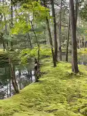 西芳寺の庭園