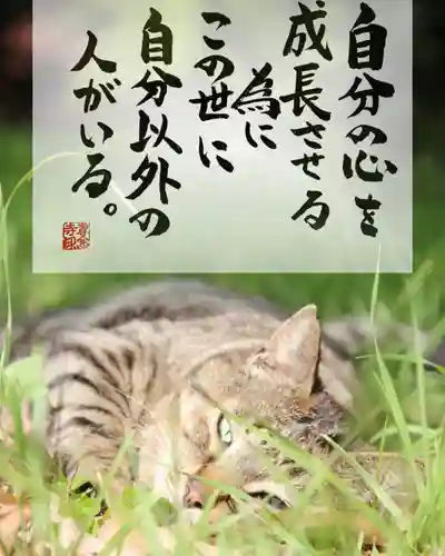 専念寺(大阪府)